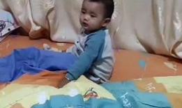 鸡鸡视频,揭秘动物世界的趣味瞬间